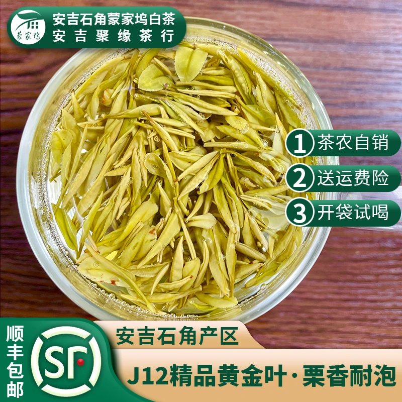 【2025新茶】安吉精品黄金叶，口感浓厚，栗香味浓！