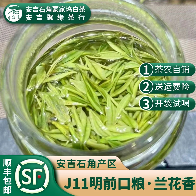 J11 【2025新茶】新上 ,明前口粮 !专用福利 白茶,口感淳朴,香味浓,