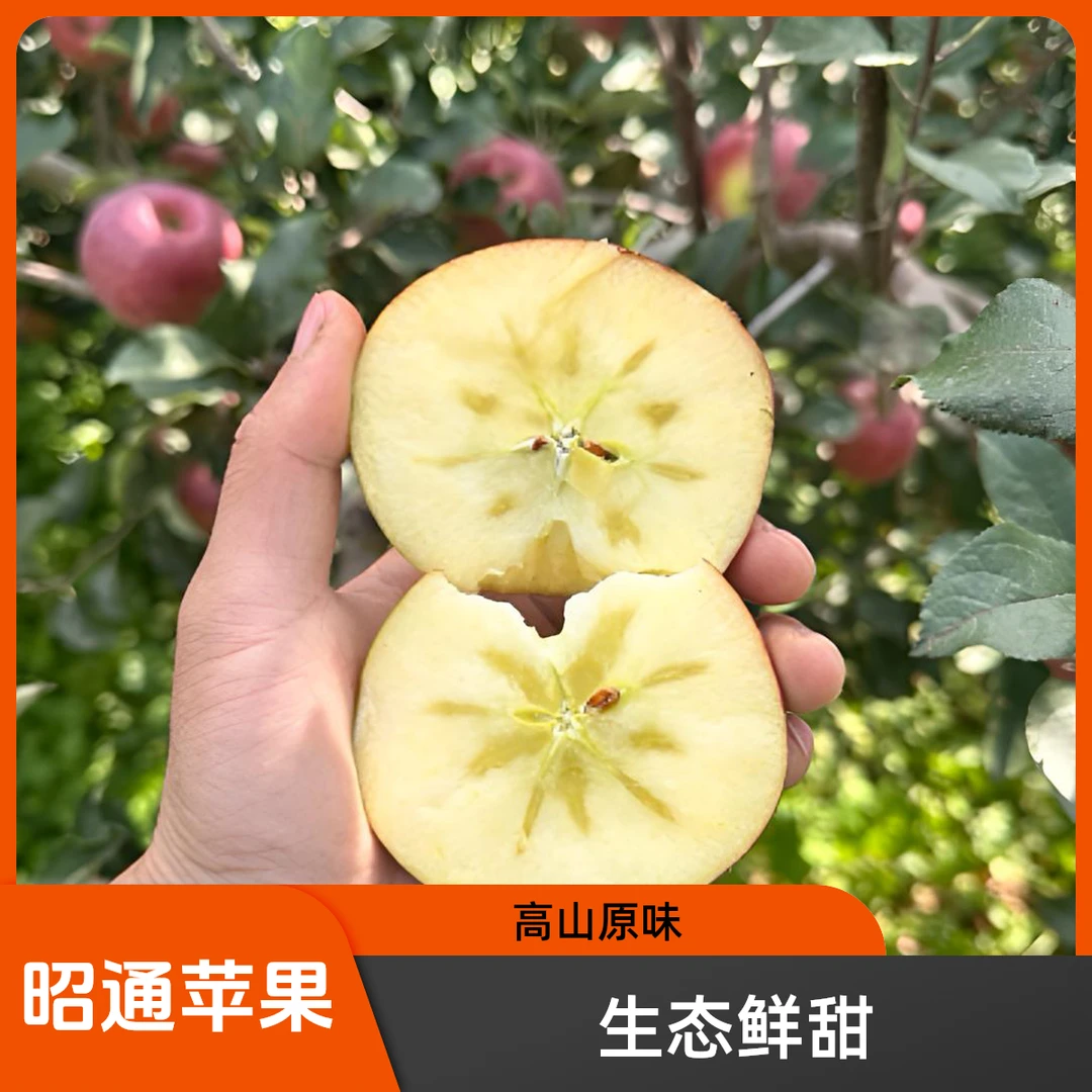 昭通高山原生态糖心苹果
