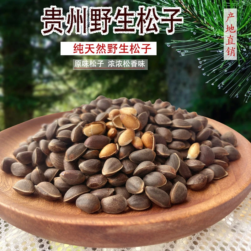 贵州特产高原新鲜原味野生松子松鼠零食休闲坚果剥皮松子原味野生