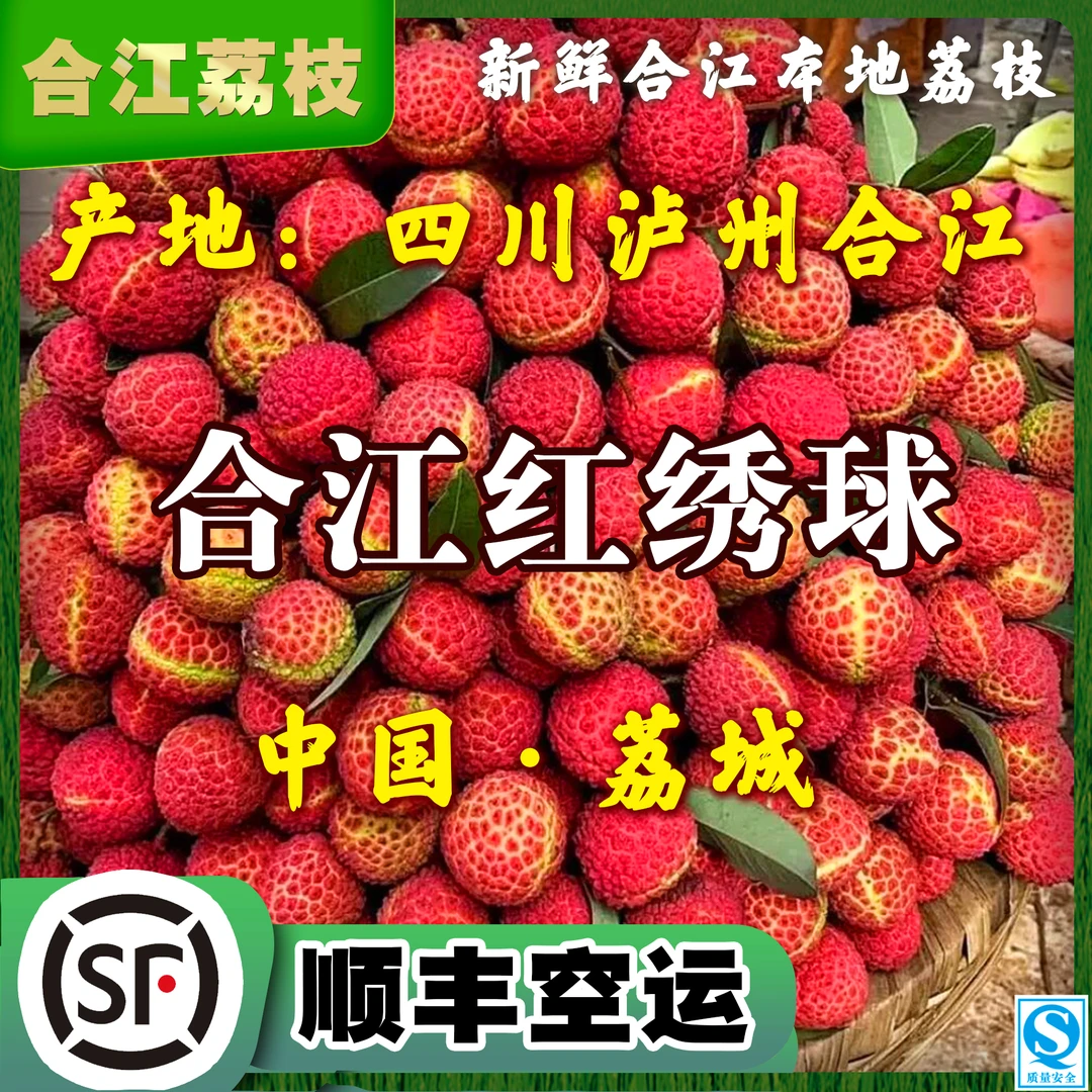 【红绣球】合江荔枝顺丰包邮送礼品质鲜荔枝不泡药水冰袋包装