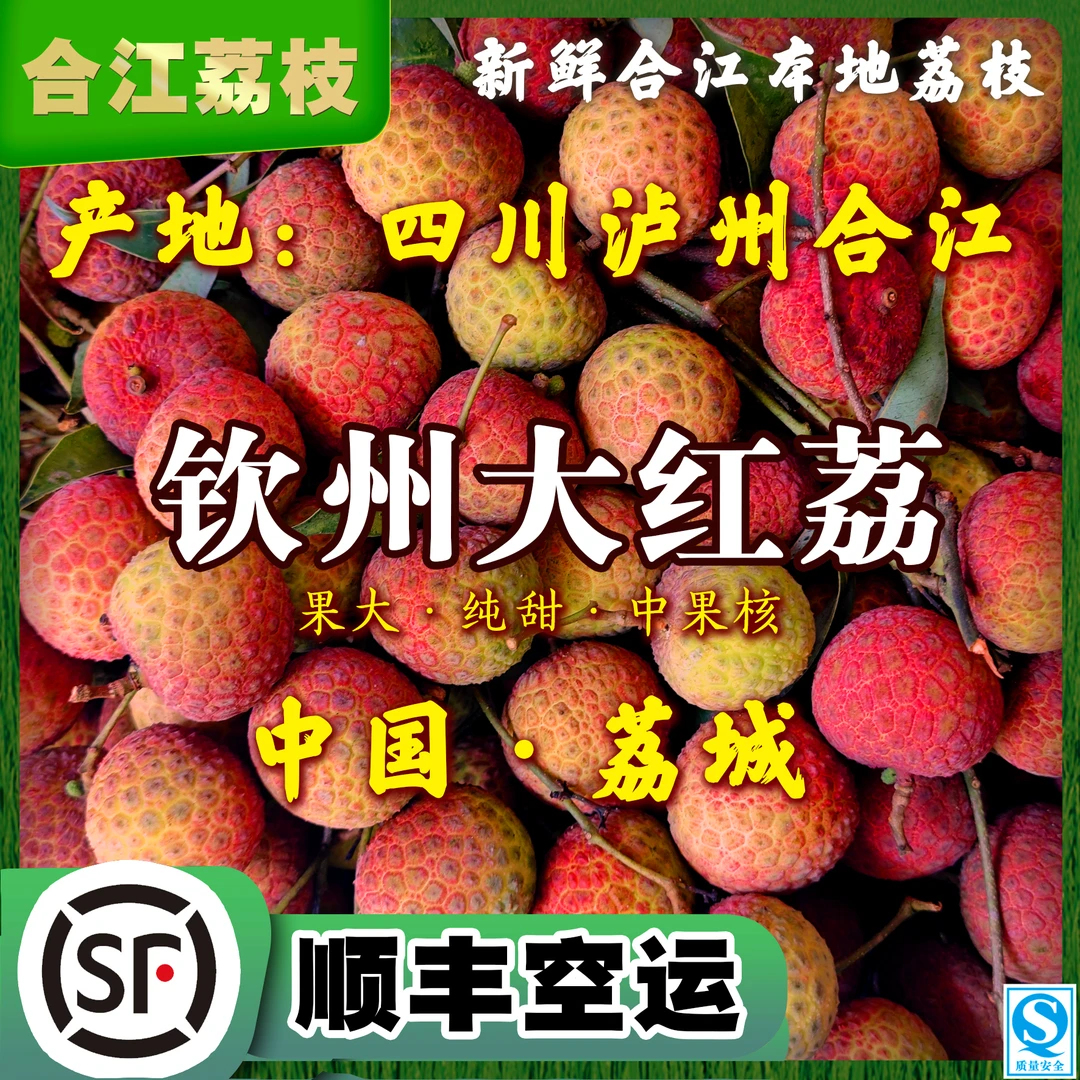 【钦州大红荔】合江荔枝新鲜现摘脆甜细腻四川合江顺丰空运