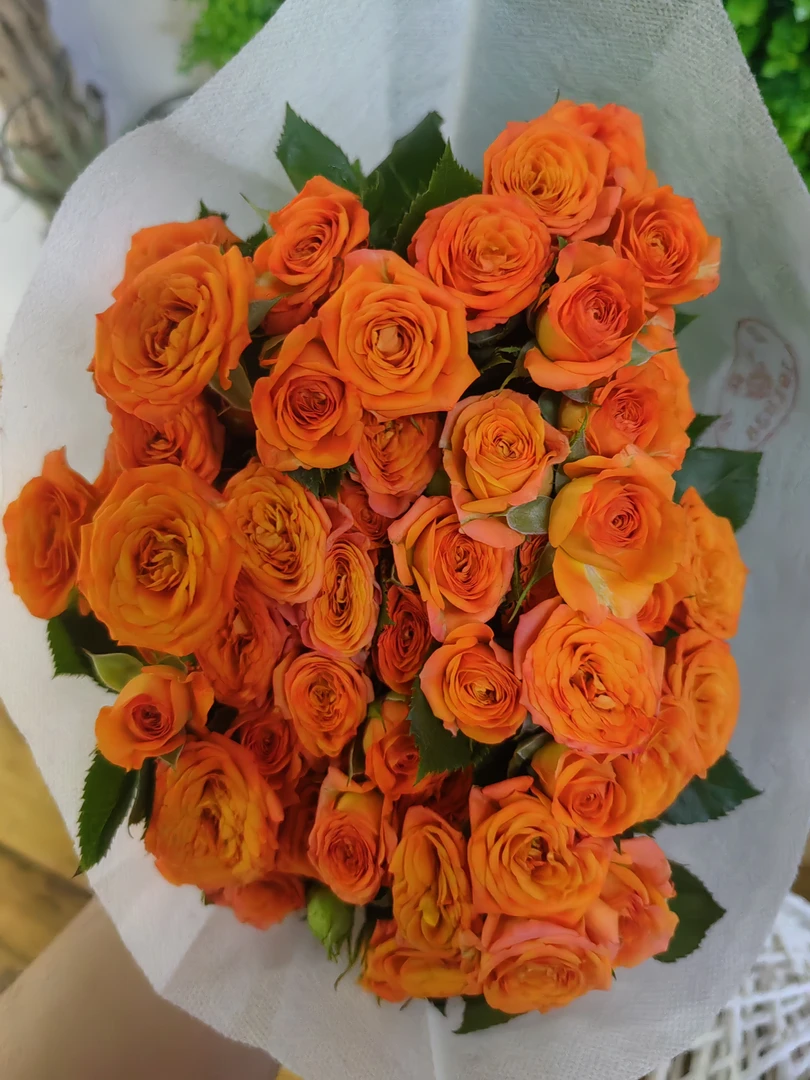 家庭散养花——橙色芭比