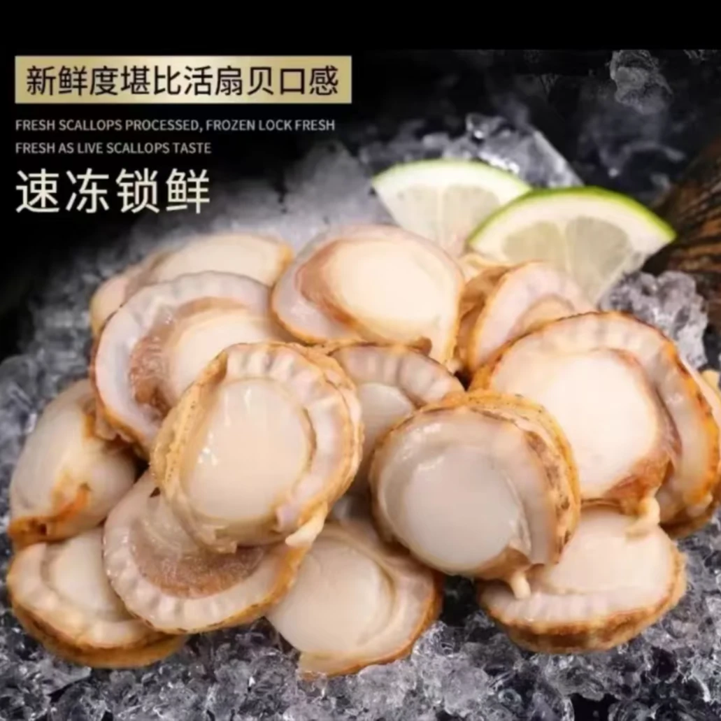 5斤新鲜速冻现剥鲜嫩扇贝肉 有冰全赔