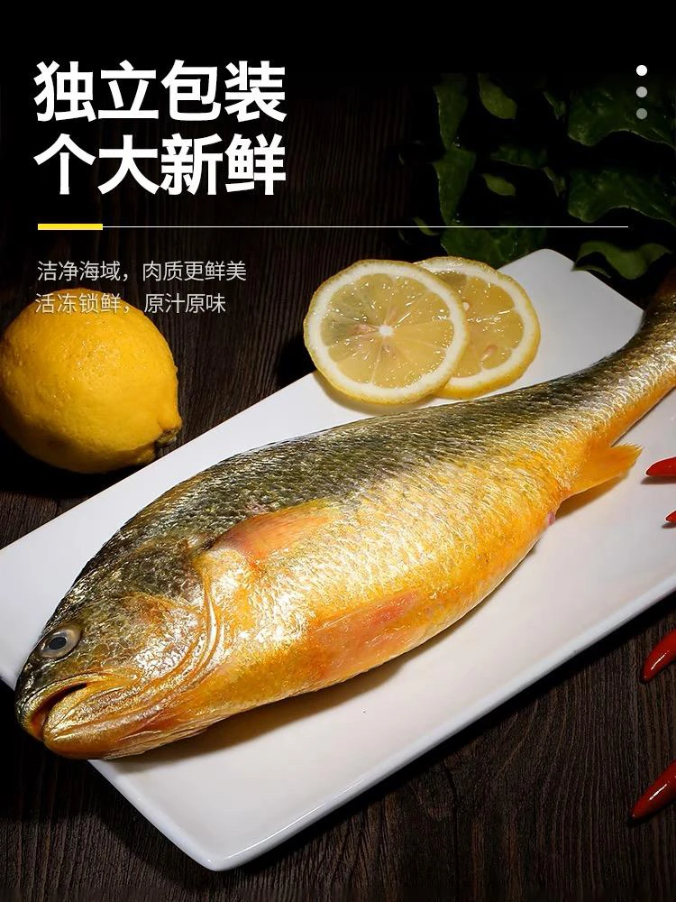 连云港发货黄鱼 一条4到5两 8条送2条 活冻鲜嫩