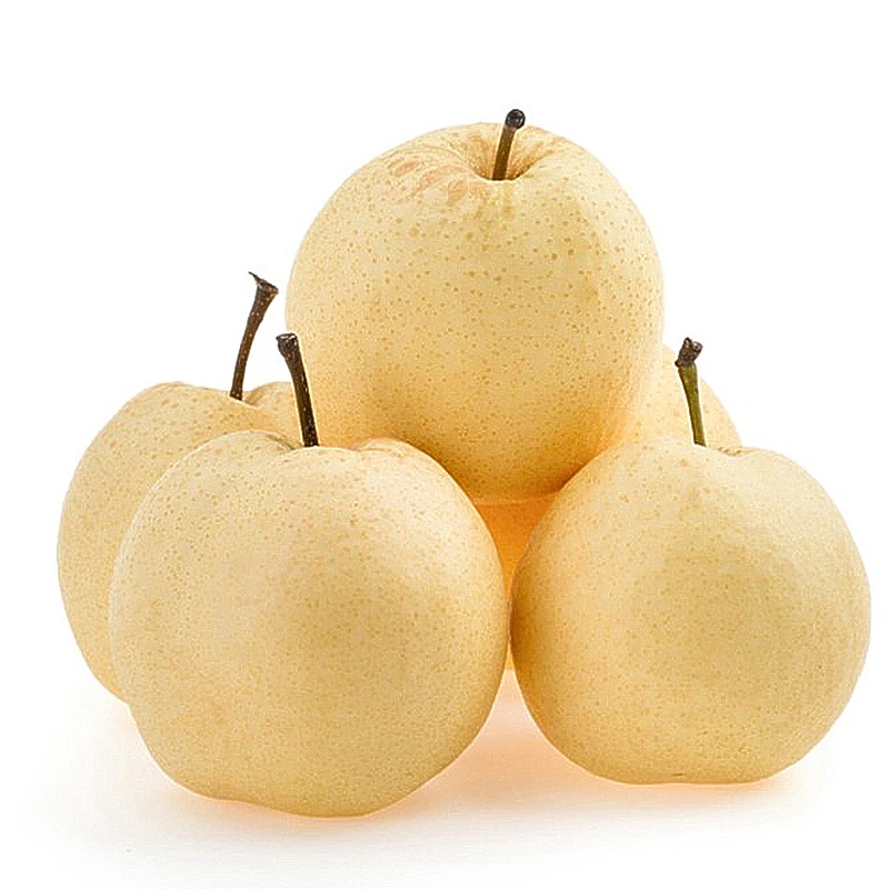 山西正宗平遥襄垣酥梨新鲜水果应当季整箱包邮特产酥梨
