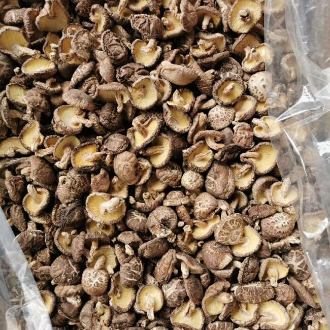 [云庐野山货]江西特产 椴木菇 椴木（原木）小香菇 3-4大小 靓色 鲜