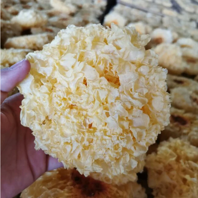 [云庐野山货]雪耳 古田银耳 原色无硫 朵大干净