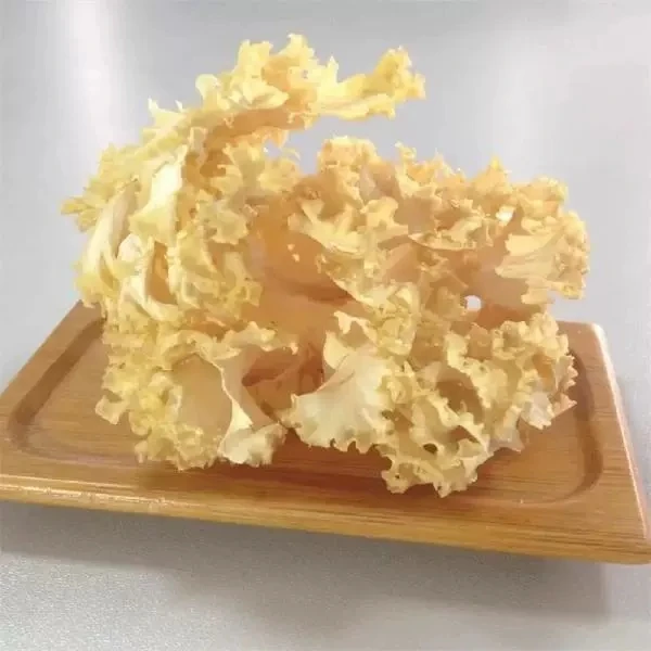 [云庐野山货]特产绣球菌新鲜绣球菌菇鲜绣球菇新鲜菌菇