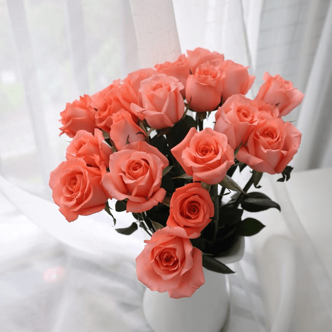 【影星玫瑰20只】任意两件或以上包邮云南昆明基地直发鲜花