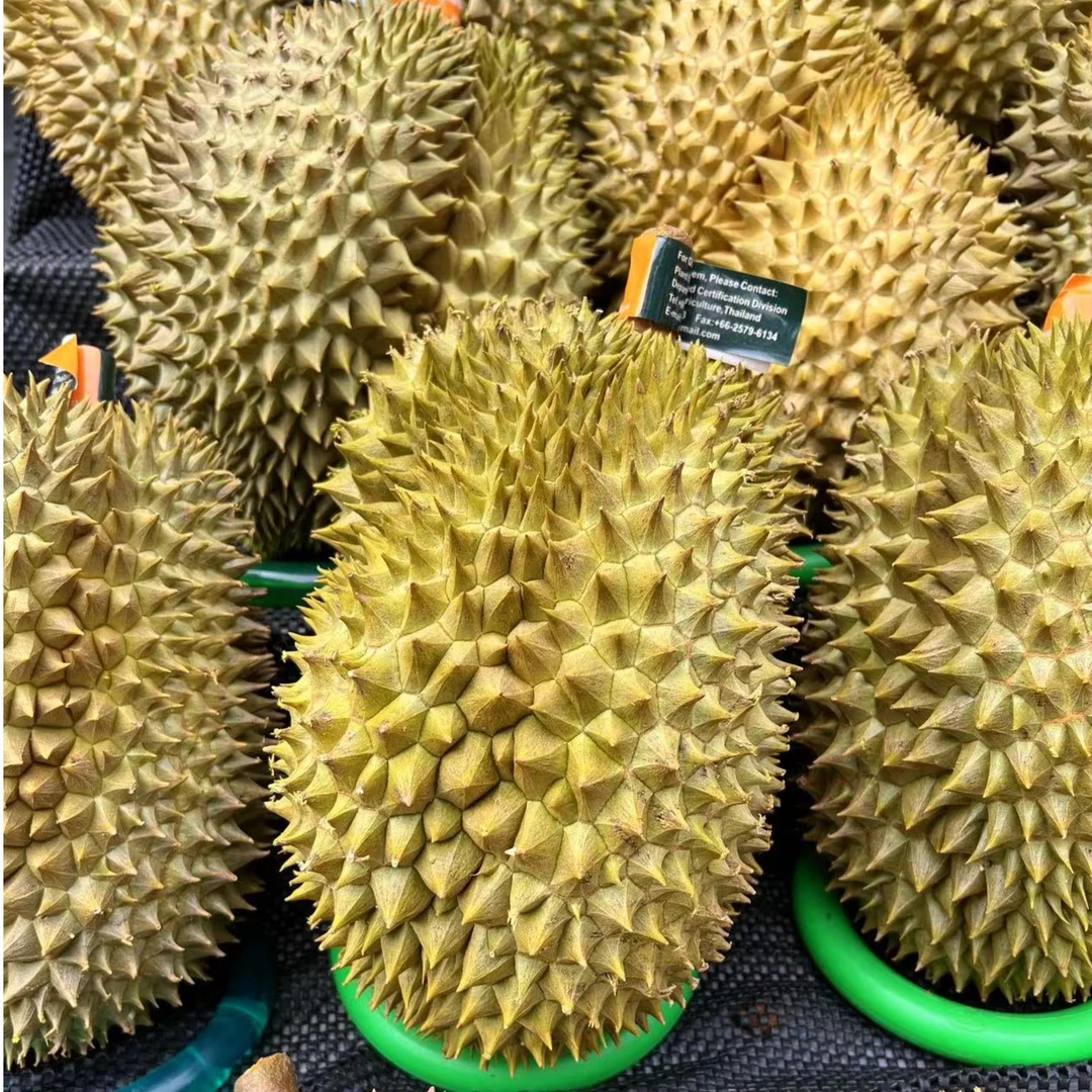 【小时达】泰国金枕榴莲 3-8斤 进口高品质干包黄肉