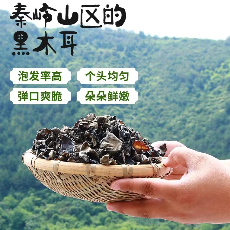 凤县特产秦岭黑木耳250g1包炒菜炒肉饭店产地发货