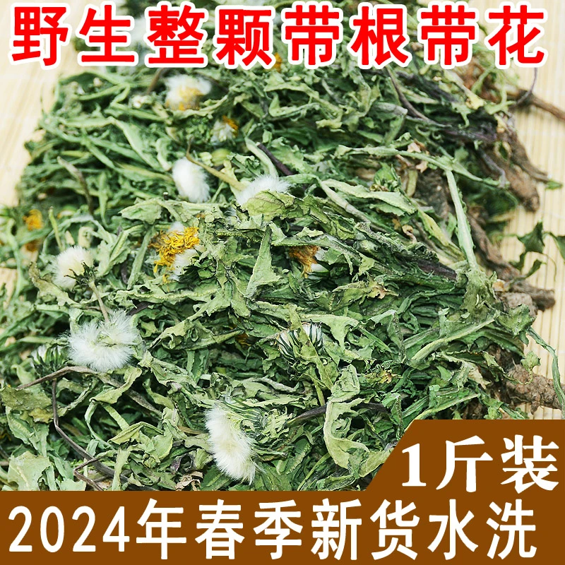 蒲公英中药材根和叶蒲公英根正品茶叶野生长白山新鲜婆婆丁干草茶