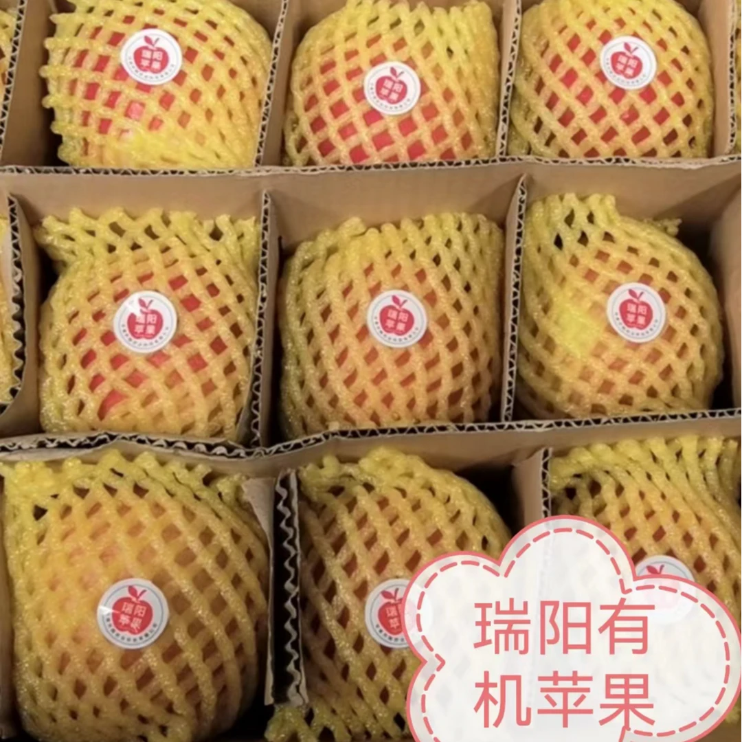 甘肃特产灵台苹果瑞阳苹果75果子净重5-6斤