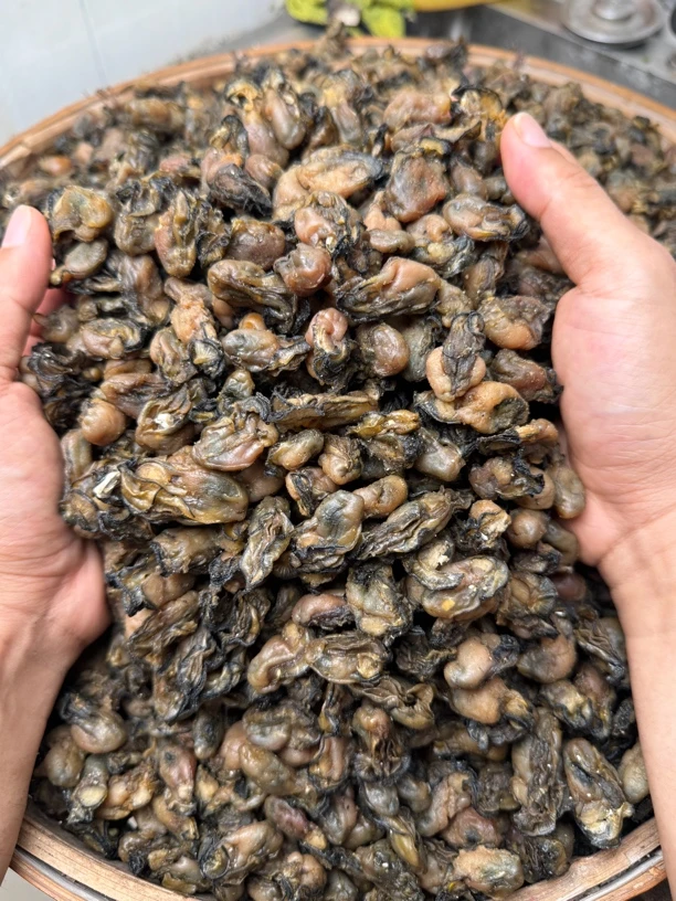 闽南特产足干新鲜海蛎干