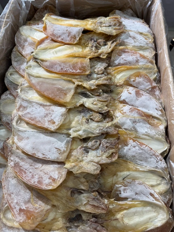 闽南特产淡干崇武墨鱼干