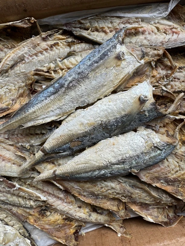 福建特产淡干去骨巴浪鱼干小海鱼干即食咸鱼干