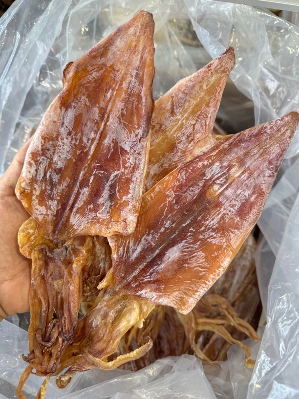 闽南特产惠安小岞手钓鱿鱼公日晒船钓