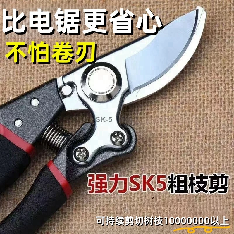 德国原装剪树剪子果树剪耐用多功能修枝剪花卉花枝剪刀花木修枝剪