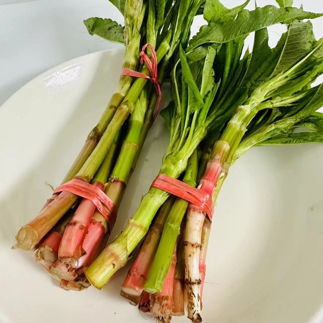 东北桓仁野生酸浆 2把/3把5把 顺丰包邮一把350g左右小时候的味道