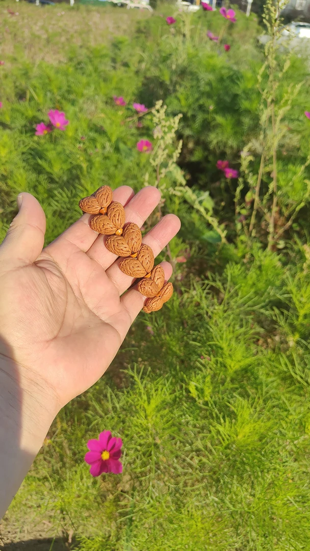 桃核文玩小钱袋子手工双棒蝴蝶串