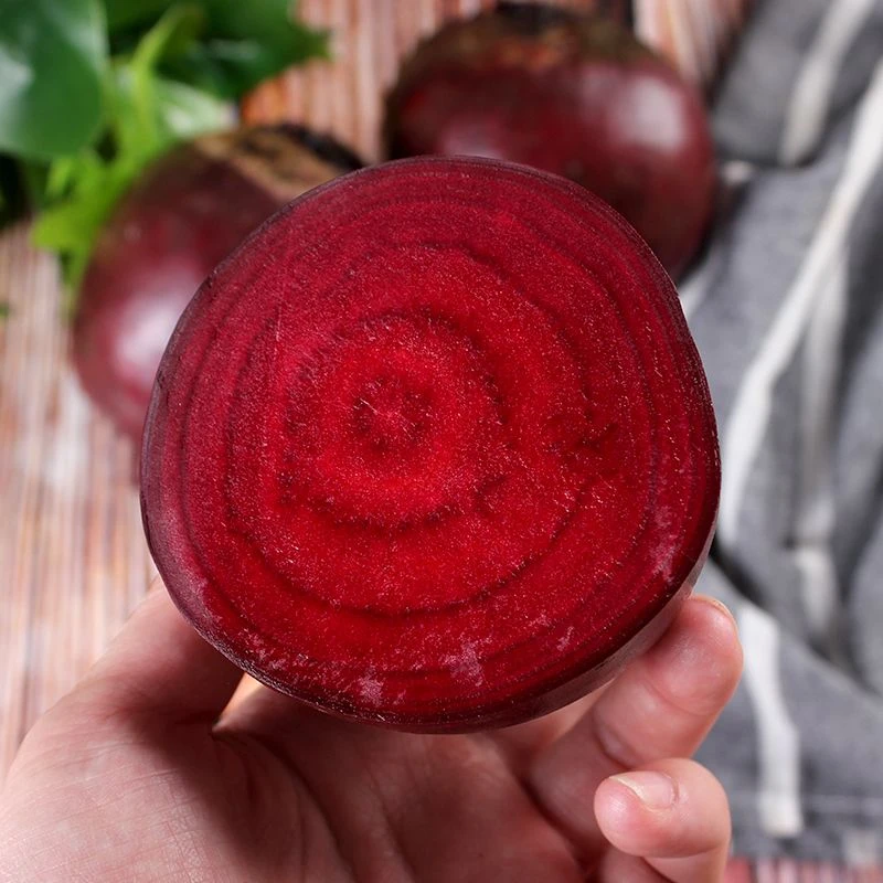 新鲜甜菜根红菜头红心紫菜头红紫甜菜根红根菜萝卜榨汁沙拉泡菜