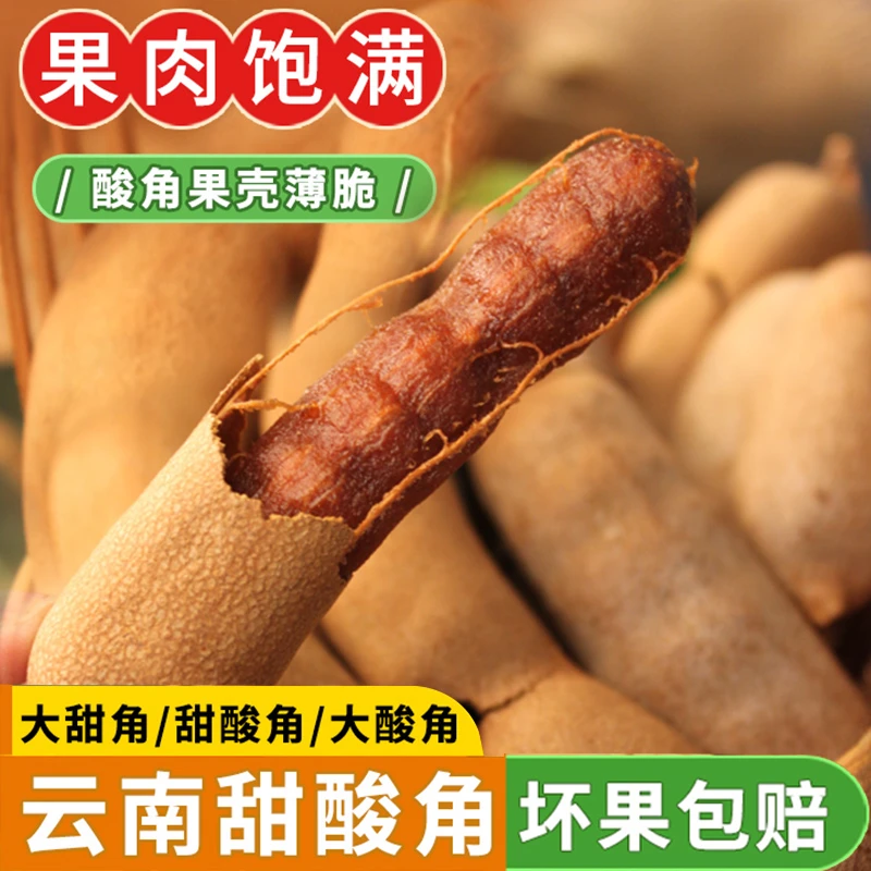 【云南特产甜酸角】孕妇零食天然酸甜角蜜饯罗望子新鲜大甜角