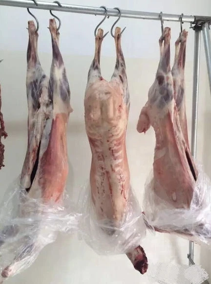 草原白条羊‘整羊/半羊20公斤切块/整扇50%腿排