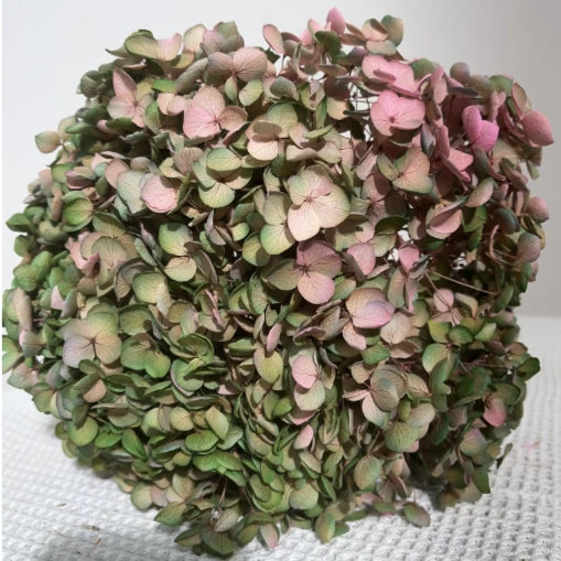永生花安娜绣球渐变色家居花束搭配插花耗材装饰真花花材客厅装饰