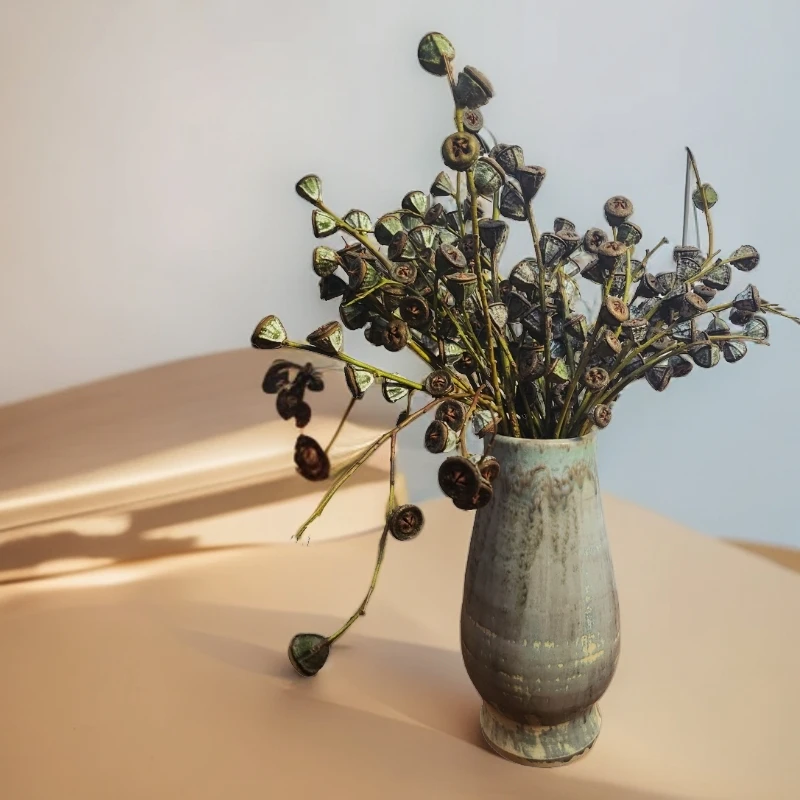 高品质干花【尤加利果】钻石老果 家居简约风 插花制作