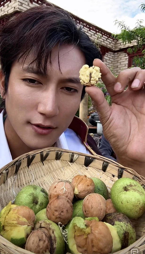 康巴小伙甄选 高原新鲜核桃 净重5斤