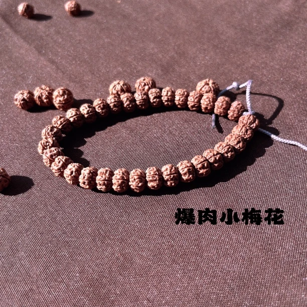 【爆肉小梅花】毕业级精挑老树五瓣双龙粗筋爆肉小梅花单圈手串