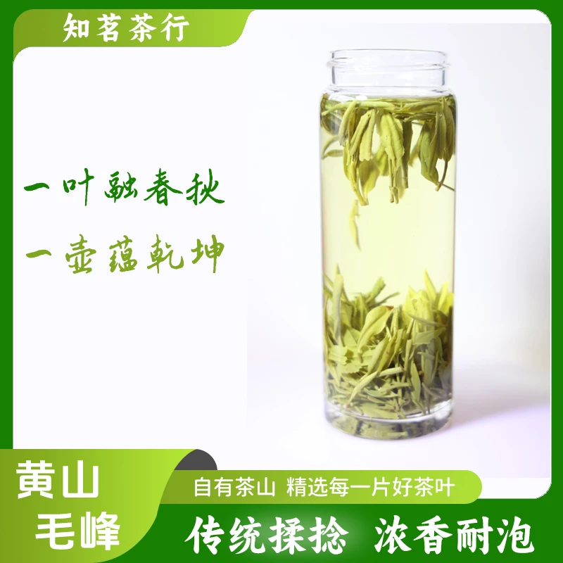 【特惠】2023年新茶M1黄山原产传统毛峰 炭火炒制 自有茶山耐泡