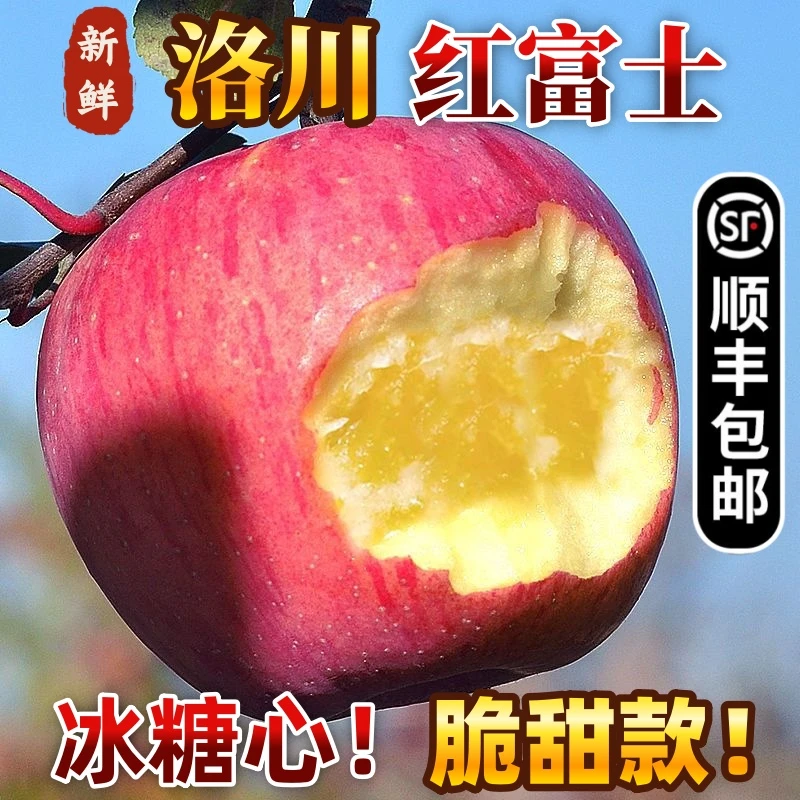 正宗陕西洛川红富士苹果脆甜多汁当季新鲜水果产地直发坏果包赔