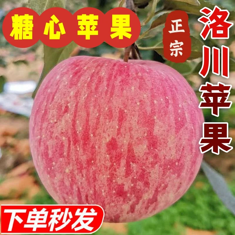 陕西正宗洛川红富士苹果新鲜脆甜多汁冰糖心孕妇应季水果现摘发货