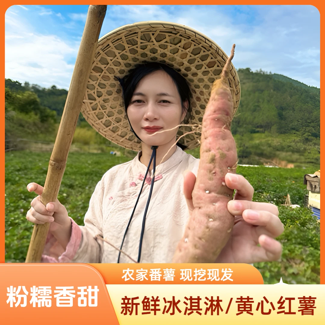 现挖红薯冰淇淋番薯广东农家自种一点红粉糯花心地瓜白皮番薯
