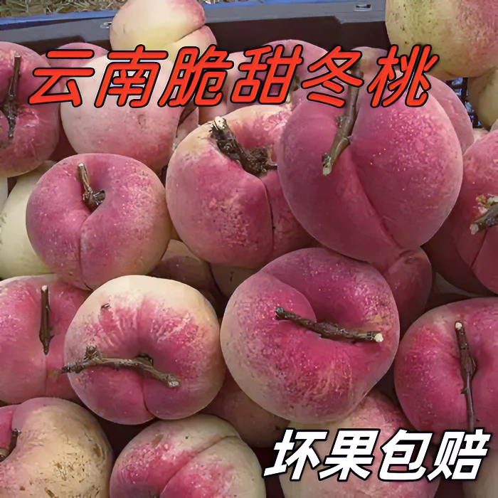 云南冬桃清脆新鲜桃冬雪桃脆甜冬桃毛桃新鲜应季水果甜蜜清脆甘甜