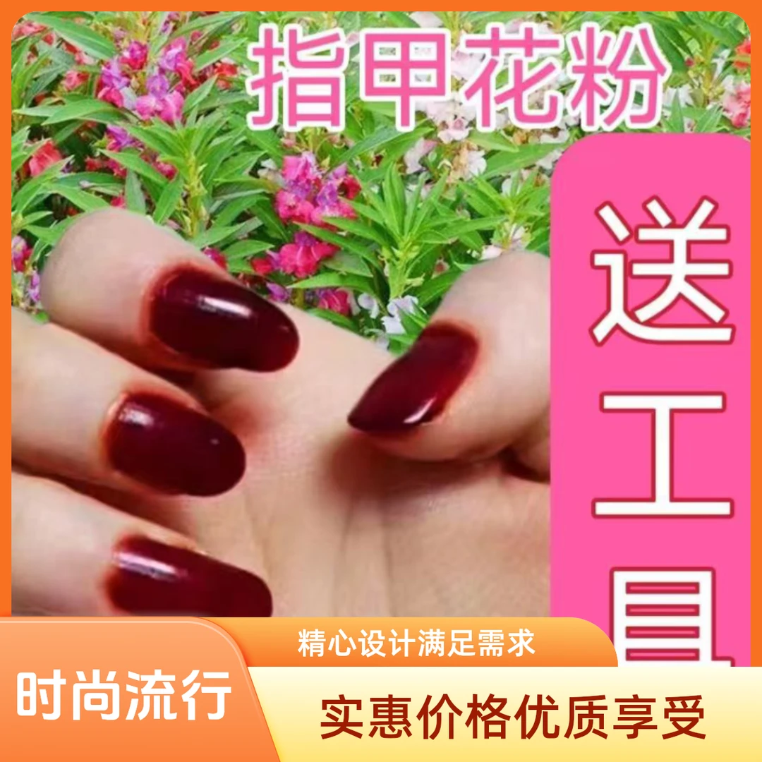 美丽红色凤仙花指甲花指甲粉花瓣磨粉小桃红指甲草花女儿花金凤