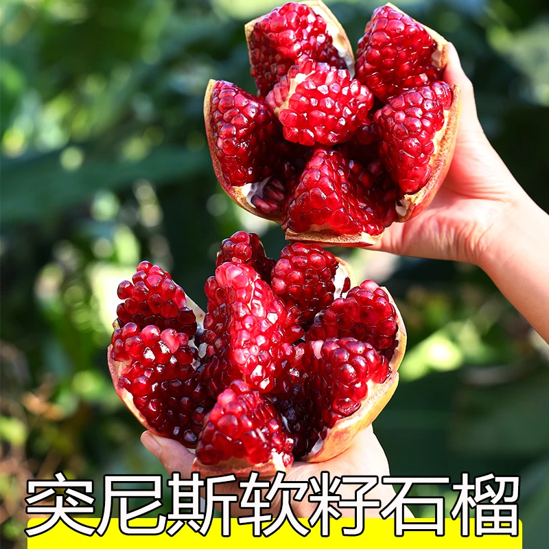 四川会理突尼斯软籽石榴番石榴软子鲜甜应季新鲜水果【带箱5斤装】