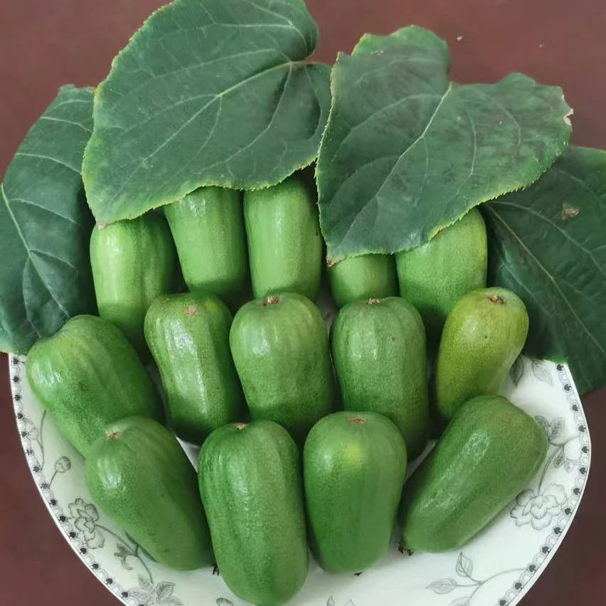 宝鸡虢王软枣软籽枣子猕猴桃甜蜜爽口每箱48个净重1000克农户直发