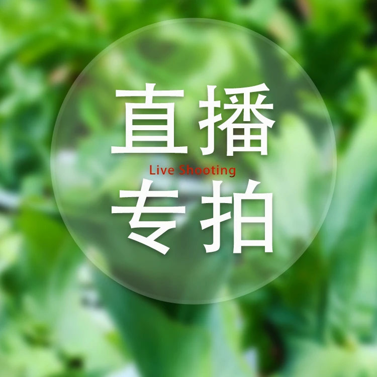 蕨色 鹿角蕨一物一拍（110-200）