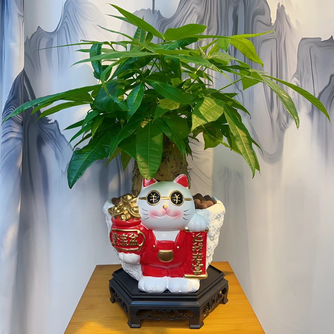 招财猫陶瓷盆大老桩发财树室内高端盆景