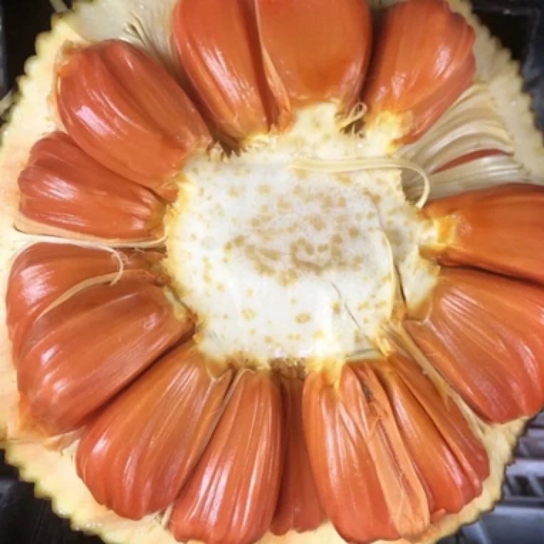 越南印尼红肉菠萝蜜