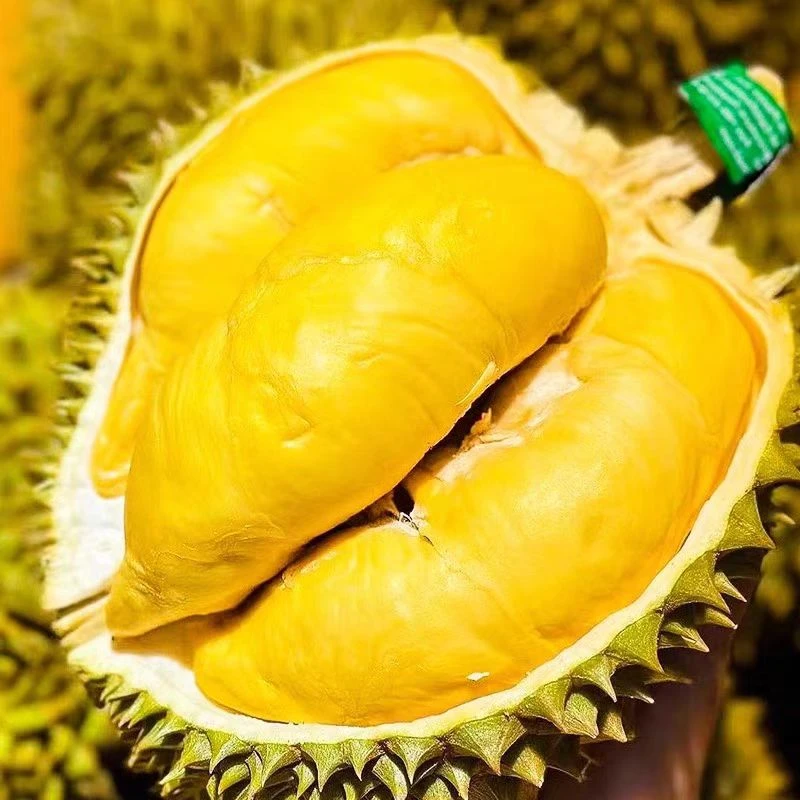 【1.5斤纯果肉】泰国树熟双A级金枕榴莲果