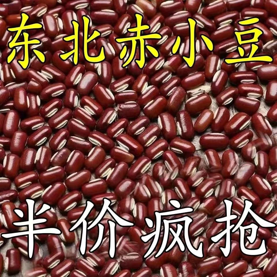 新货赤小豆批发大红豆东北长粒红小豆薏米粥豆沙馅五谷杂粮粘豆包