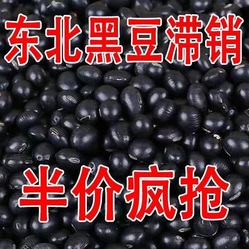 【大降价】黄心大黑豆东北非转基因农家自产黑豆可发芽豆浆醋泡批发