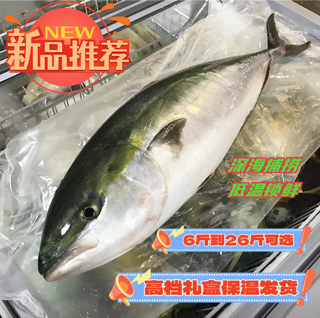 山东发货深海捕捞新鲜冷冻锁鲜鲜嫩黄金鲅鱼黄鰤鱼12-24斤礼盒装