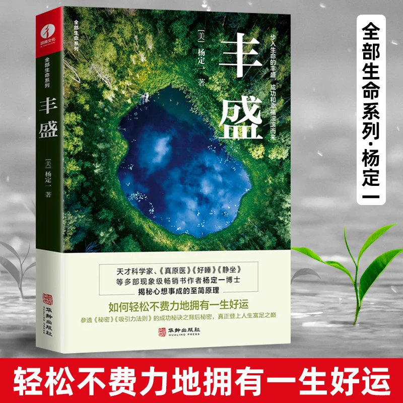 全部生命系列:丰盛（精装）书籍