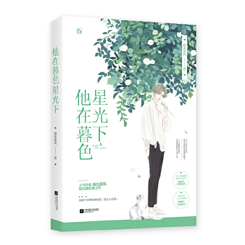 他在暮色星光下南北逐风著原名不二臣青春文学都市情感双男主小说