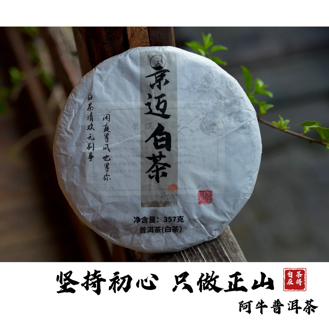 【自家茶地 奶香】景迈山大平掌 世遗核心区 2023年 头春 古树 白茶